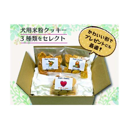 ふるさと納税 犬用米粉クッキーセット（3種類） 兵庫県