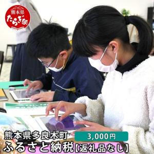 ふるさと納税 熊本県多良木町への寄附（返礼品はありません）【 ふるさと納税 熊本県 多良木町 応援 寄附 】028-0344-03 熊本県多良木町