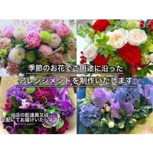 ふるさと納税 お花ちゃん生花店 季節のフラワー...の詳細画像1
