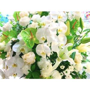ふるさと納税 お花ちゃん生花店 季節のフラワー...の詳細画像2