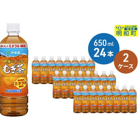 ふるさと納税 伊藤園 健康ミネラルむぎ茶 ＜650ml×24本＞【2ケース】 群馬県明和町