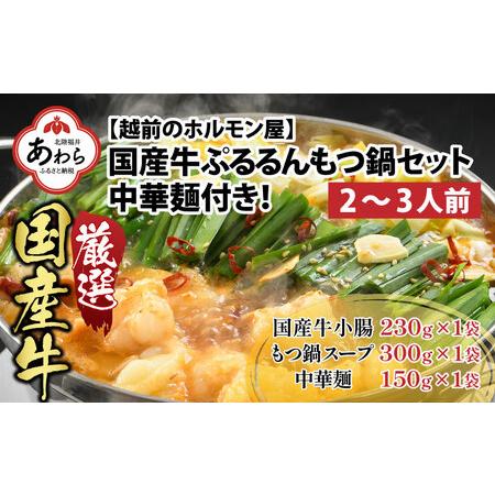 ふるさと納税 キャンプ飯 ぷるるんもつ鍋セット 中華麺付き！（約2〜3人前）みそ味 越前のホルモン屋...