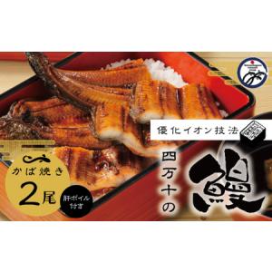 ふるさと納税 26-006.四万十川優化イオンう...の商品画像