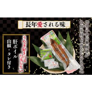 ふるさと納税 26-006.四万十川優化イオン...の詳細画像1