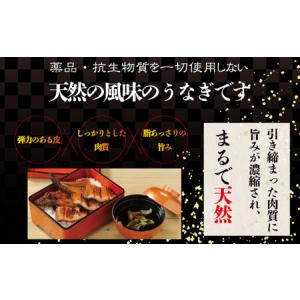 ふるさと納税 26-006.四万十川優化イオン...の詳細画像3