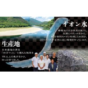 ふるさと納税 26-006.四万十川優化イオン...の詳細画像4