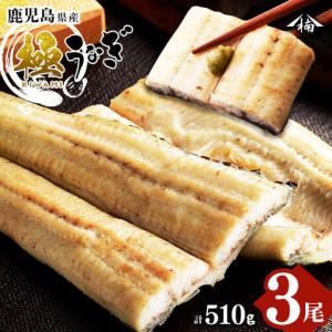 ふるさと納税 楠田の極うなぎ 白焼き 170g以上×3尾(計510g以上) うなぎ 鰻 ウナギ 国産 鹿児島県産 九州産 白焼き 冷凍 うな重 ひつま.. 鹿児島県志布志市
