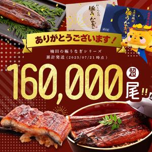 ふるさと納税 楠田の極うなぎ 白焼き 170g...の詳細画像1