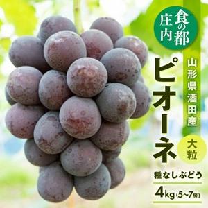 ふるさと納税 SD0259　種なし大粒ぶどう　「ピオーネ」　約4kg(5〜7房) 山形県酒田市