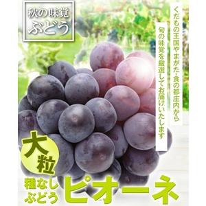 ふるさと納税 SD0259 種なし大粒ぶどう ...の詳細画像1