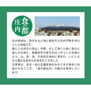 ふるさと納税 SD0259 種なし大粒ぶどう ...の詳細画像3
