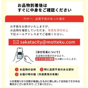 ふるさと納税 SD0259 種なし大粒ぶどう ...の詳細画像4