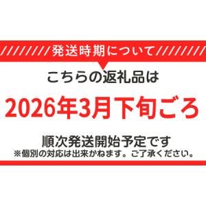ふるさと納税 【 先行予約 】筑波サーキット ...の詳細画像4