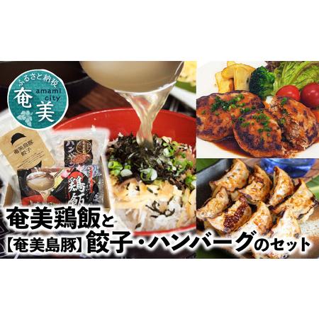 ふるさと納税 【奄美鶏飯】と【奄美島豚】餃子・ハンバーグのセット - ハンバーグ 2個 餃子 12個...