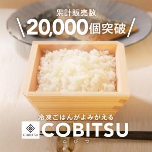 ふるさと納税 木製の冷凍ご飯容器 枡のおひつ「C...の商品画像
