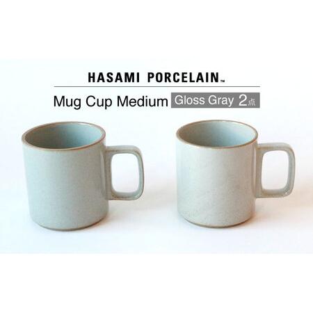 ふるさと納税 【波佐見焼 HASAMI PORCELAIN】マグカップ グロスグレイ 2点セット 食...