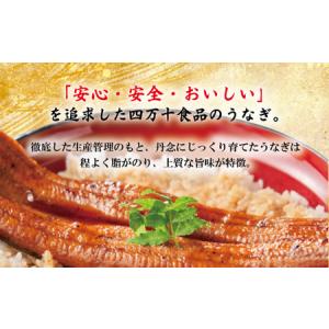 ふるさと納税 26-366.<四万十食品>うな...の詳細画像1
