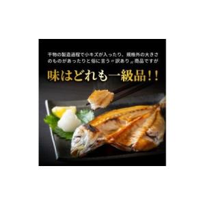 ふるさと納税 大漁4kg!磯武さんの訳あり干物...の詳細画像2