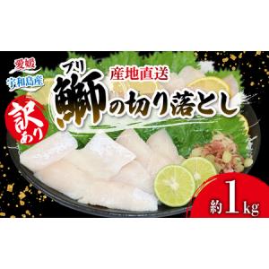 ふるさと納税 訳あり ブリ 切り落とし 計約 1kg セット （ 250g × 4 パック ） 南予ビージョイ わけあり 養殖 鰤 ぶり 不揃い 刺身 漬け.. 愛媛県宇和島市｜ふるなび(ふるさと納税)