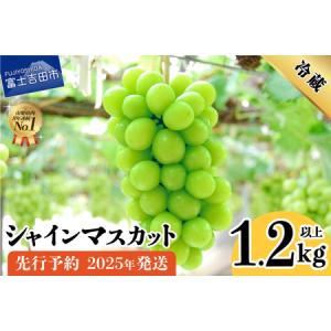 ふるさと納税 2024年発送 【お楽しみセット】  山梨県産 シャインマスカット 2房 (1.2kg...