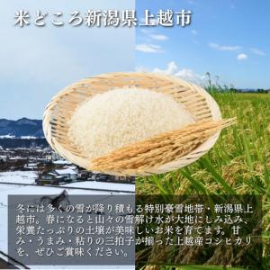 ふるさと納税 【定期便】米物語 コシヒカリ 1...の詳細画像2