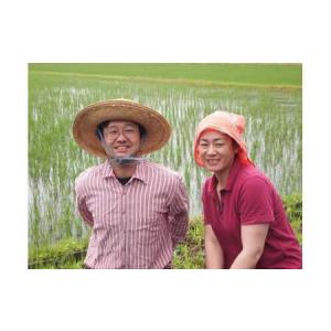 ふるさと納税 令和7年産 新潟県上越市産 コシ...の詳細画像2