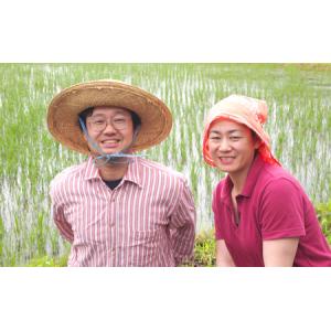 ふるさと納税 令和7年産 新潟県上越市産 コシ...の詳細画像3