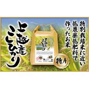 ふるさと納税 米 上越産 こしひかり 5kg お...の商品画像