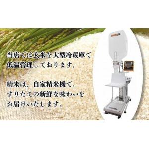 ふるさと納税 米 上越産 こしひかり 5kg ...の詳細画像2