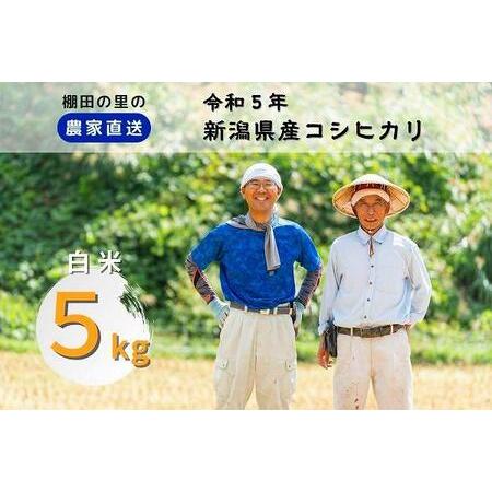 ふるさと納税 ふぁ〜む中やしきの棚田コシ「あさひかがやく」白米５kg 新潟県上越市