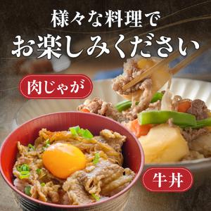ふるさと納税 【訳あり】宮崎牛切り落とし小分け...の詳細画像1