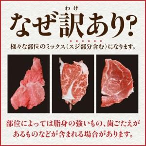 ふるさと納税 【訳あり】宮崎牛切り落とし小分け...の詳細画像2