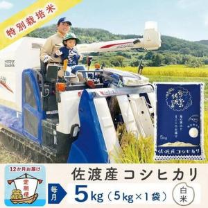 ふるさと納税 【令和8年産新米 12ヶ月】佐渡島...の商品画像