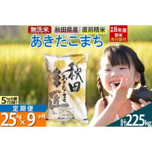 ふるさと納税 【無洗米】＜令和8年産 新米予約＞《定期便9ヶ月》秋田県産 あきたこまち 25kg (5kg×5袋) ×9回 25キロ お米 匠 秋田県仙北市