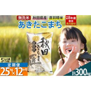 ふるさと納税 【無洗米】＜令和8年産 新米予約＞《定期便12ヶ月》秋田県産 あきたこまち 25kg (5kg×5袋) ×12回 25キロ お米 匠 秋田県仙北市
