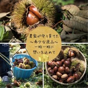 ふるさと納税 2026年度産 かすみがうら市産...の詳細画像1