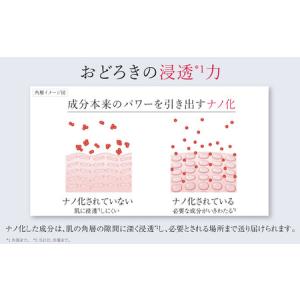 ふるさと納税 【定期便6ヵ月】富士フイルム 《...の詳細画像4