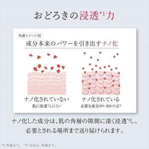 ふるさと納税 【定期便6ヵ月】富士フイルム 《...の詳細画像4