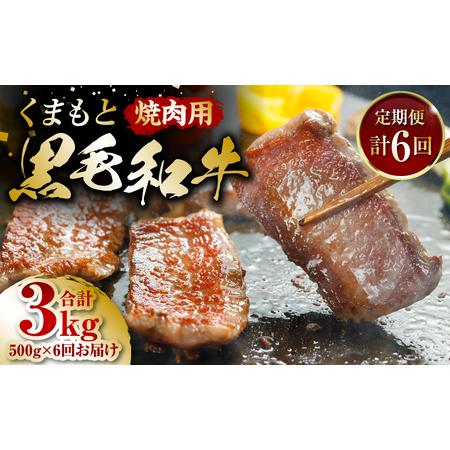 ふるさと納税 【定期便6回】くまもと黒毛和牛 焼肉用 500g ×6回 牛肉 やきにく 熊本県八代市