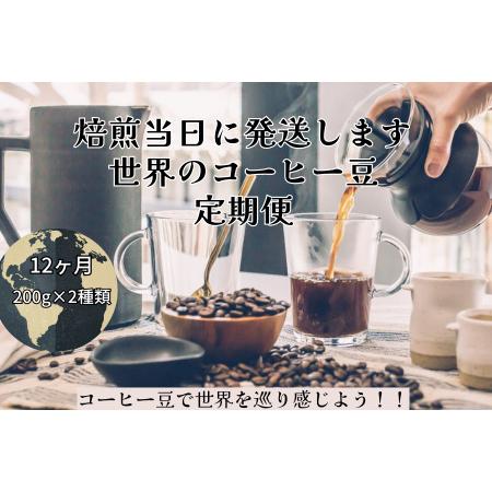 ふるさと納税 【コーヒー豆定期便12か月】『焙煎幸房“そら”』世界を旅するコーヒー 苦いのは苦手、深...