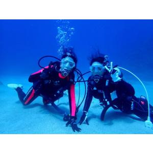 ふるさと納税 （ライセンス保持者限定）【奄美大島北部】3ボートファンダイビング A141-003 鹿...