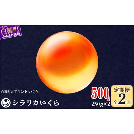 ふるさと納税 年2回お届け定期便 シラリカいくら（生いくら）【500g（250g×2）】〔お好みに味...