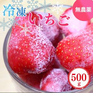 ふるさと納税 冷凍いちご 約500g (100gx5パック) 奈良県産のいちご  | フルーツ くだ...