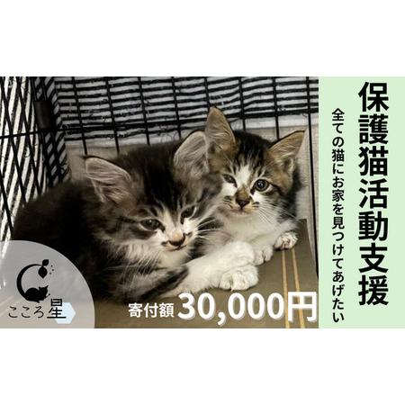 ふるさと納税 【お礼の品なし】保護猫活動支援?野良猫から地域で見守るさくら猫に〜 寄付額30,000...