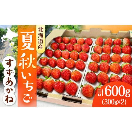 ふるさと納税 先行予約 26年7月以降発送 夏秋イチゴ すずあかね 計600g  夏いちご 生 苺 ...