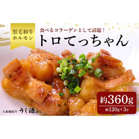 ふるさと納税 (冷凍) 国産 黒毛和牛 味付 トロてっちゃん 120g×3パック／うし源本店 ホルモ...