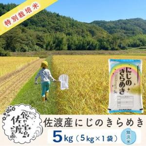 ふるさと納税 無洗米 5kg 令和7年 農家直送 | 新潟県 佐渡市にじのきらめき 米 新潟県佐渡市