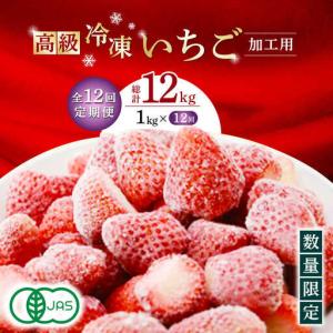 ふるさと納税 【12回定期便】高級 冷凍 いちご 加工用 約1kg（約500g×2袋）【伊藤農園】 果物 フルーツ イチゴ いちご 苺 熊本県 特産品 .. 熊本県山鹿市