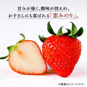 ふるさと納税 【12回定期便】高級 冷凍 いち...の詳細画像1