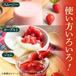 ふるさと納税 【12回定期便】高級 冷凍 いち...の詳細画像2